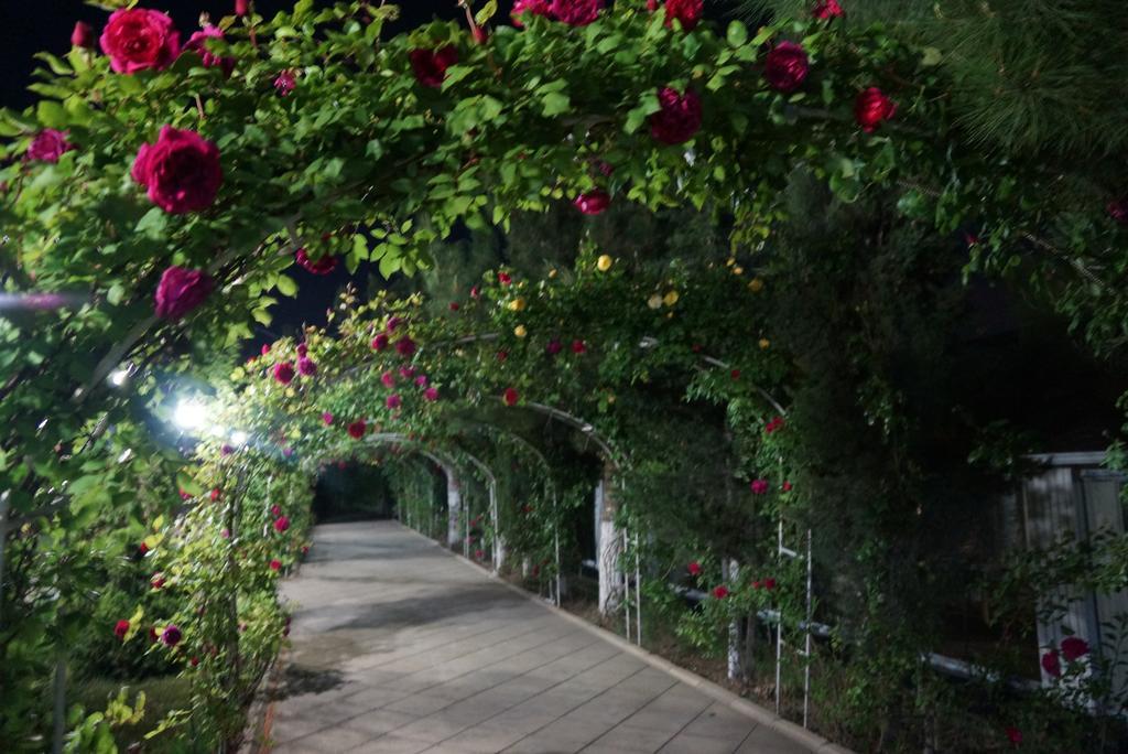 River Side Hotel Mingəçevir Exterior foto