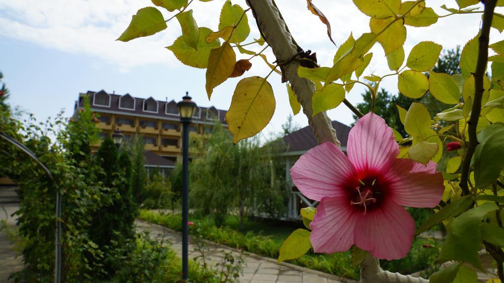River Side Hotel Mingəçevir Exterior foto